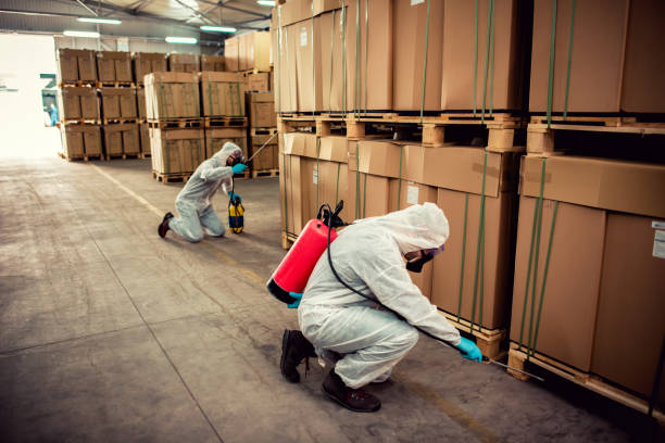 Best Exterminator Services  in Shannon Hills, AR