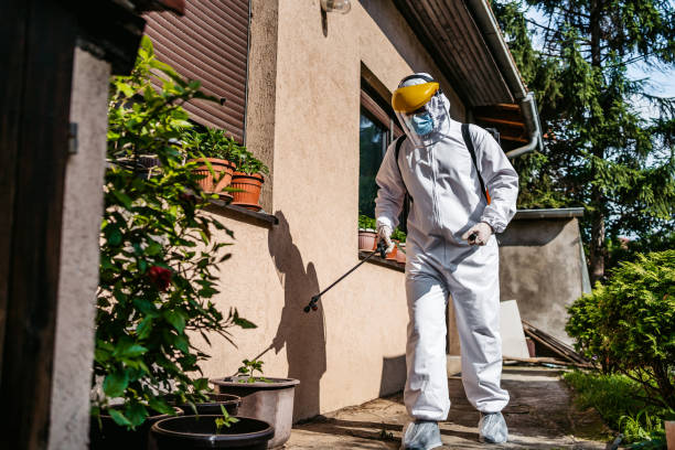 Best Pest Prevention Services  in Shannon Hills, AR