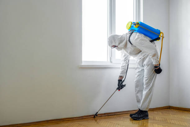 Best Pest Removal Services  in Shannon Hills, AR