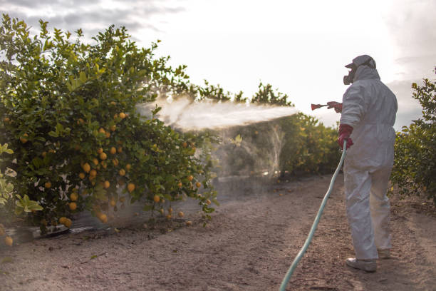 Best Best Pest Control Companies  in Shannon Hills, AR